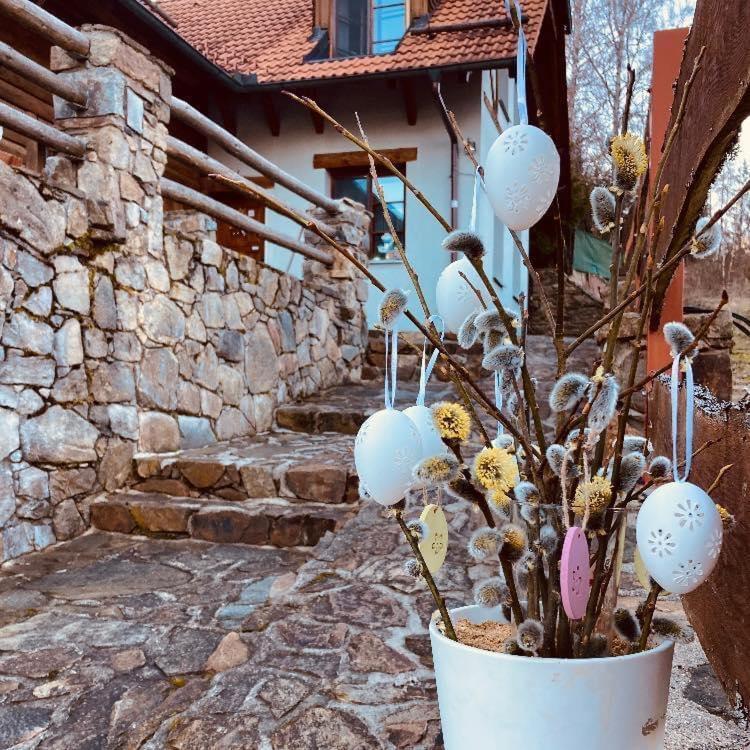 Apartmány Srub Jenišov Horní Planá Exterior foto